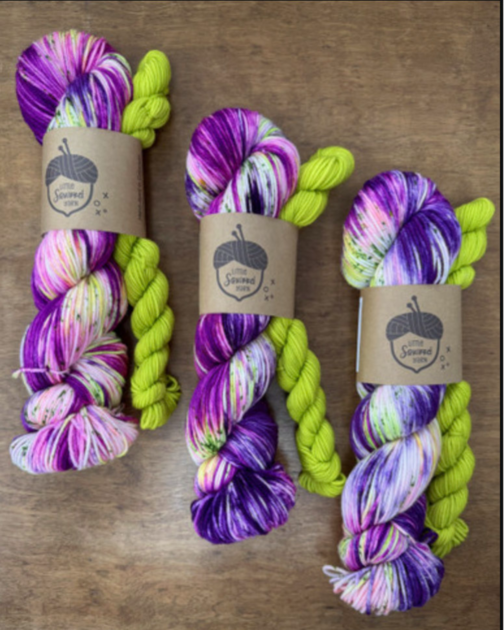 Little Squirrel Yarn August Sock Set - Brand New Trapper Keeper in DK at The Loopy Ewe