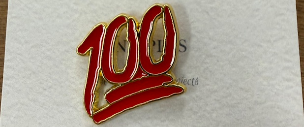 SunneShine Enamel Pins 100% at The Loopy Ewe