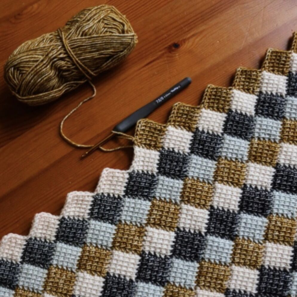 2026 Classes: Tunisian Crochet 2.0 at The Loopy Ewe