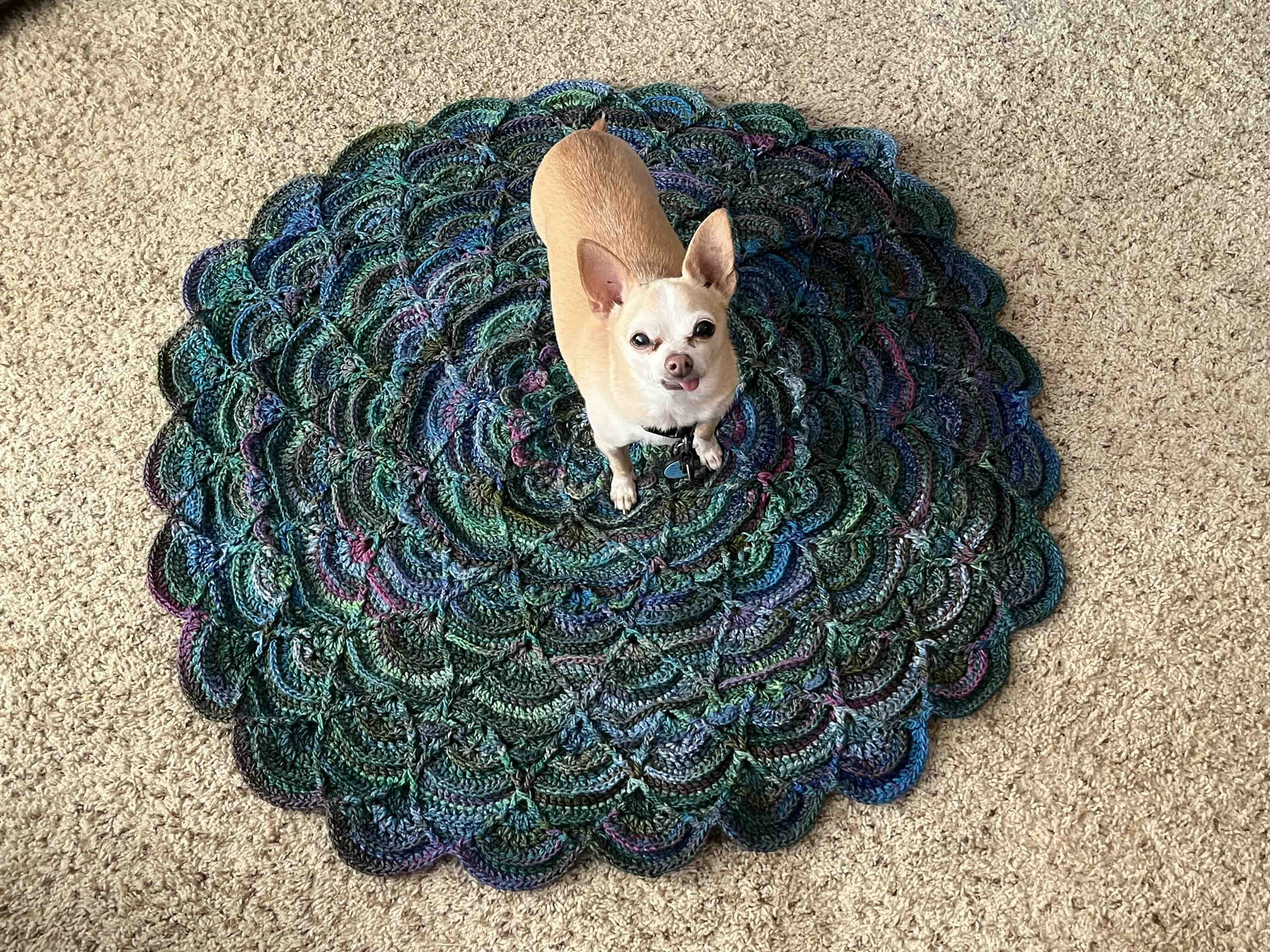 Camp Loopy June Project crocheted by Alison at The Loopy Ewe