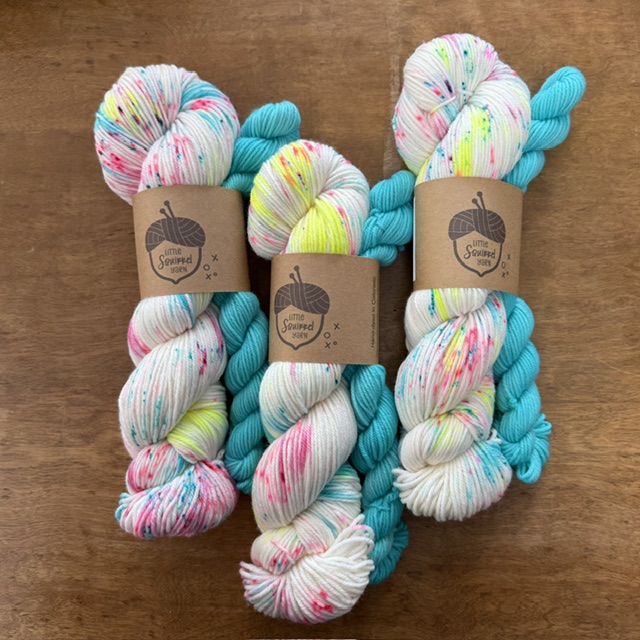 Little Squirrel Yarn June Sock Set DK in Adult Swim at The Loopy Ewe