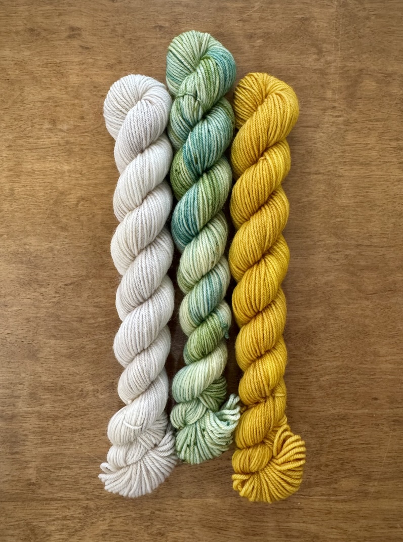 2026 Mystery Gnome Along Yarn Set - Wee Three Trees at The Loopy Ewe