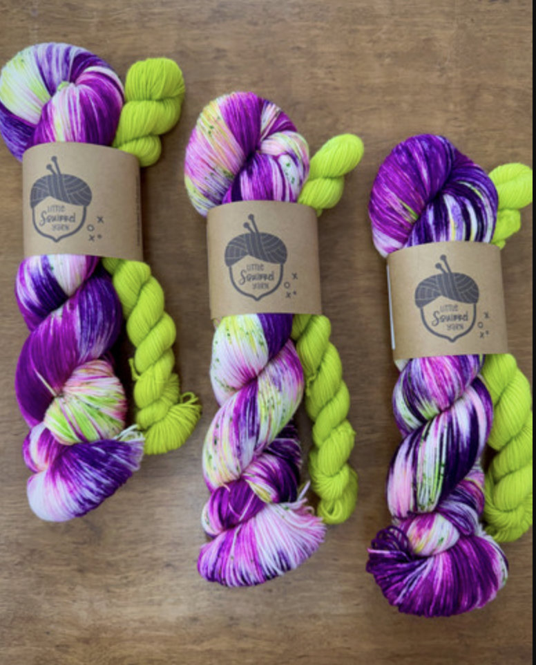 Little Squirrel Yarn August Sock Set - Brand New Trapper Keeper in Fingering at The Loopy Ewe