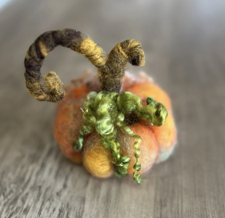 Needle Felted Pumpkin Class at The Loopy Ewe