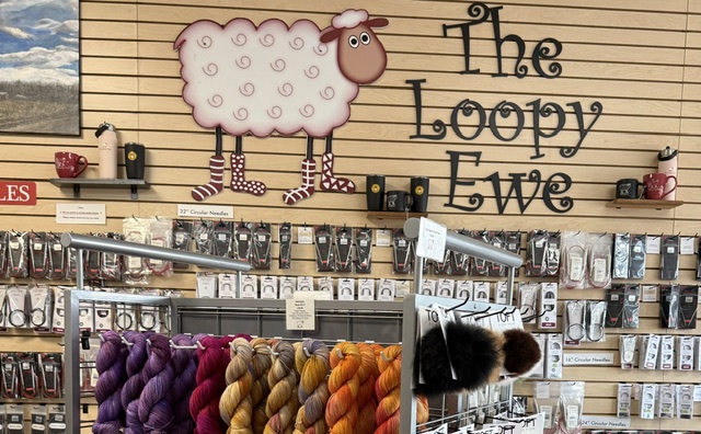 Vote for The Loopy Ewe at the USA Today Top 10 poll