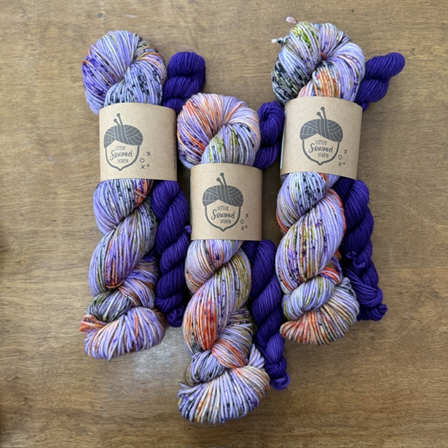 Little Squirrel Yarn October Sock Set Purple People Eater in DK at The Loopy Ewe